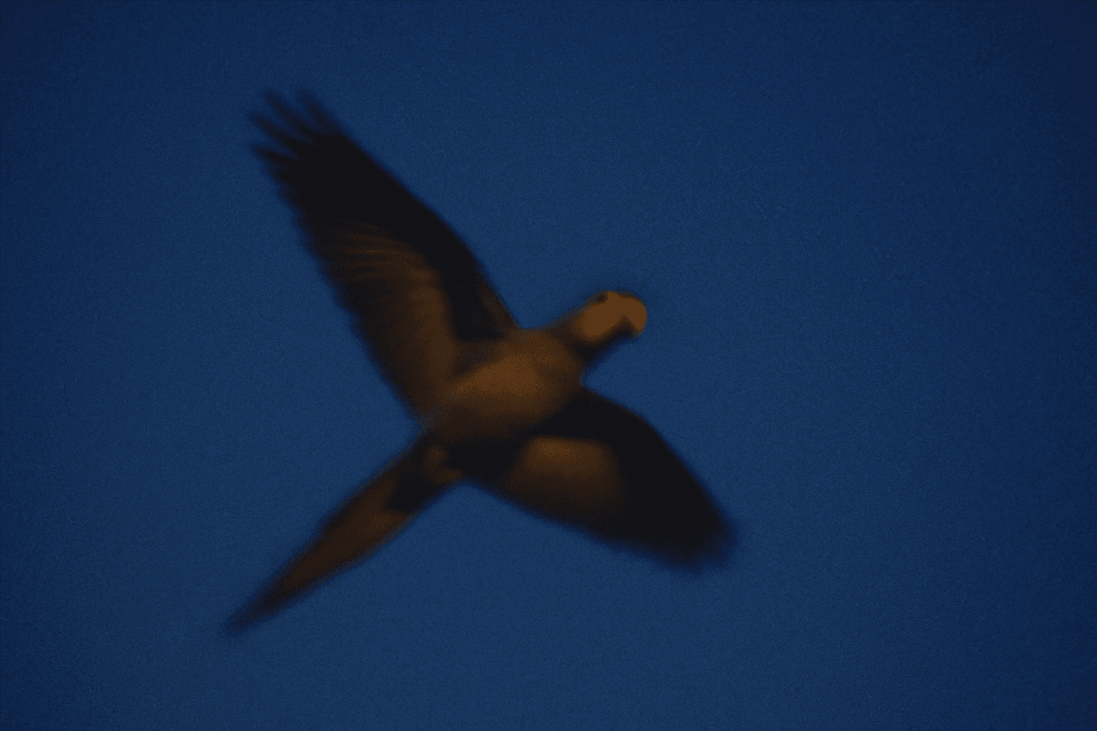 Synthetic Dialogue Dataset